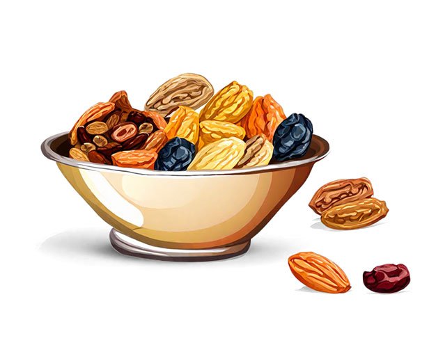 vector fruits nuts